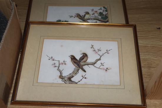 Five Chinese pith paintings, four of birds and two of fish